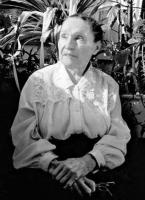 ������ ���������