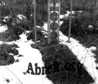 ���� �� ������ ������ ���������