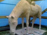 ������ ��� �������� �������� - �������. 2009